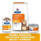 Hill’s Prescription Diet c/d Urinary Care Pollo lata para gatos, , large image number null
